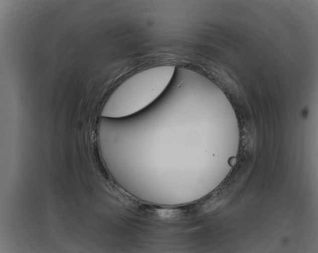 X0000097630371200802290850