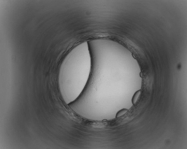 X0000097630373200802290850
