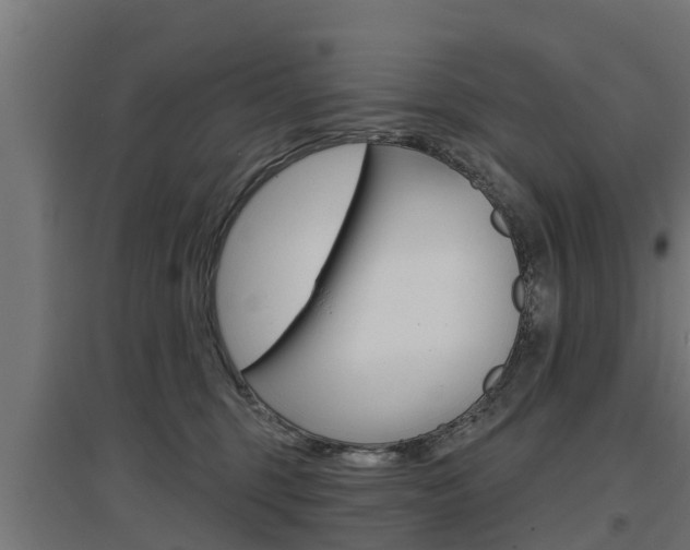 X0000097630375200802290850