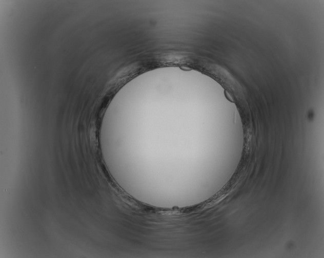 X0000097630377200802290850