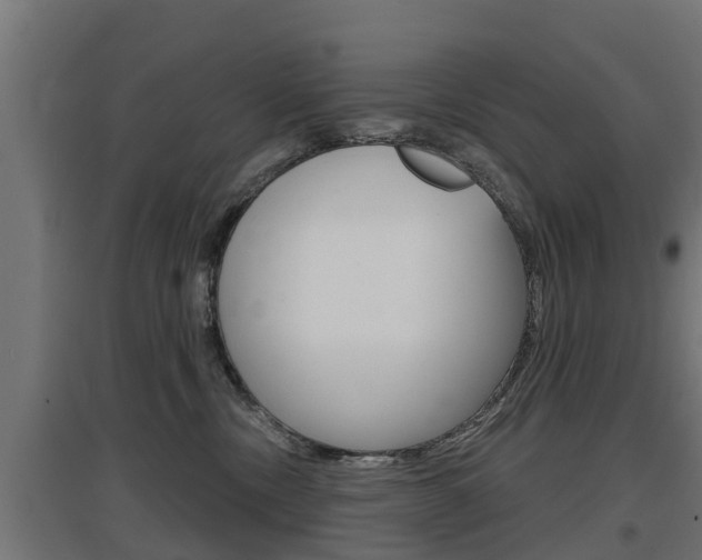 X0000097630378200802290850