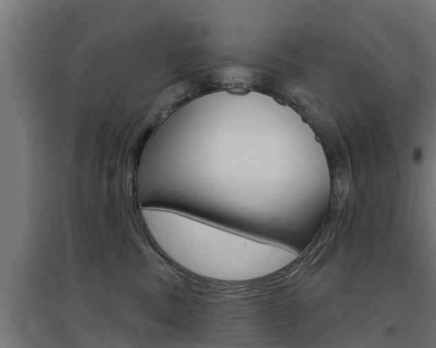 X0000097630379200802290850