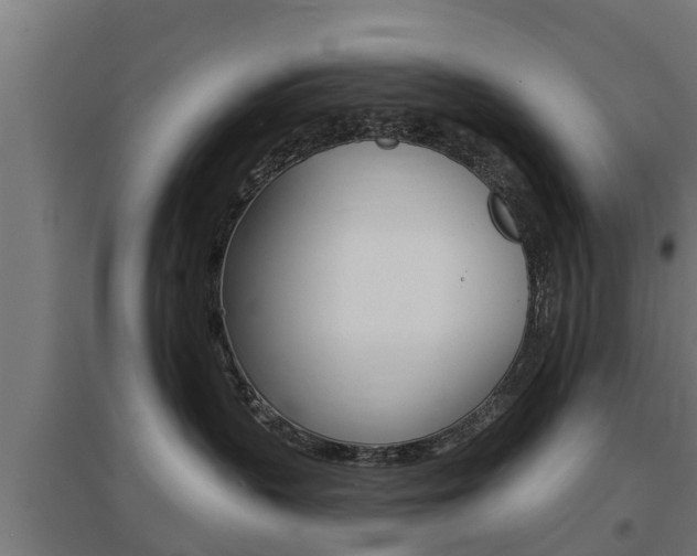 X0000097630383200802290850