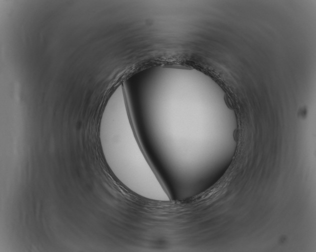 X0000097630384200802290850
