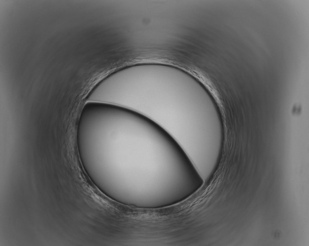 X0000097630385200802290849