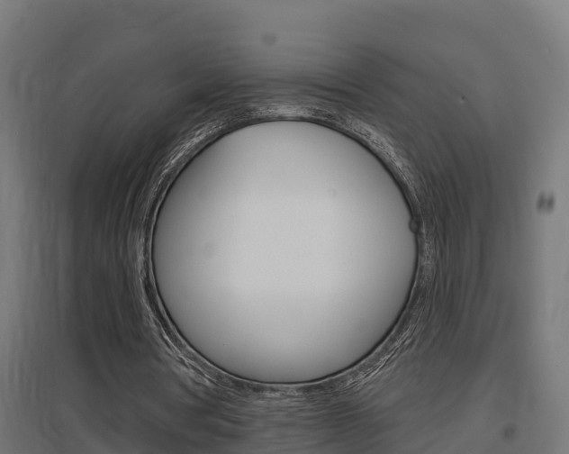 X0000097630386200802290849