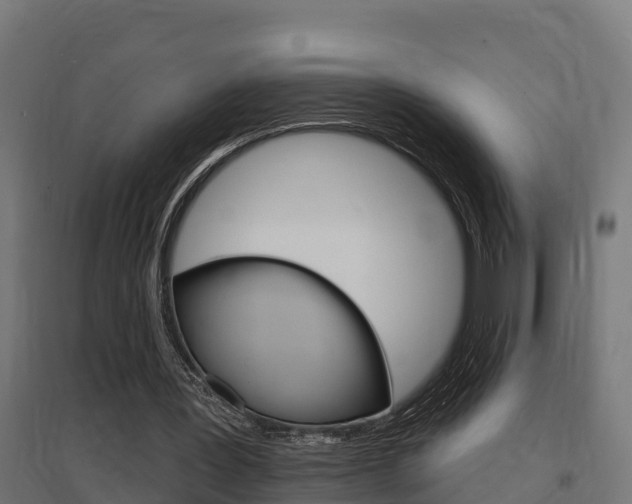 X0000097630387200802290849