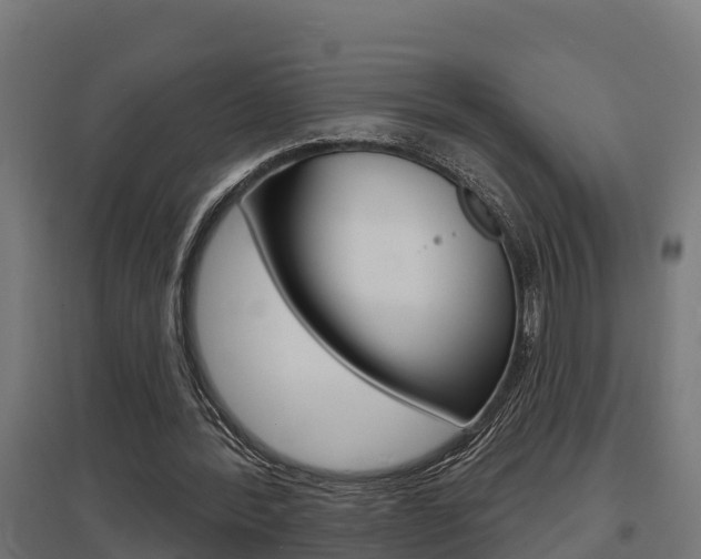 X0000097630388200802290849