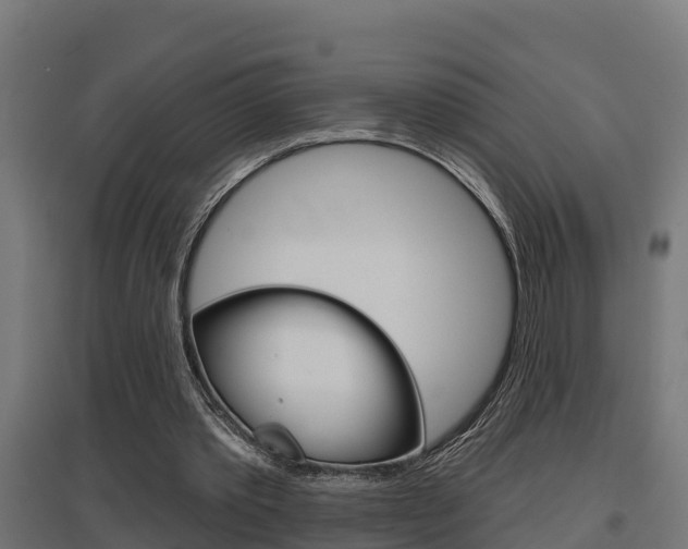X0000097630389200802290849