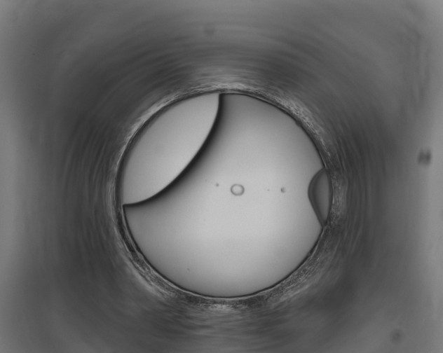 X0000097630390200802290849