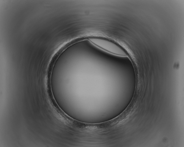 X0000097630391200802290849