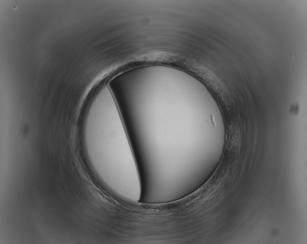 X0000097630392200802290849
