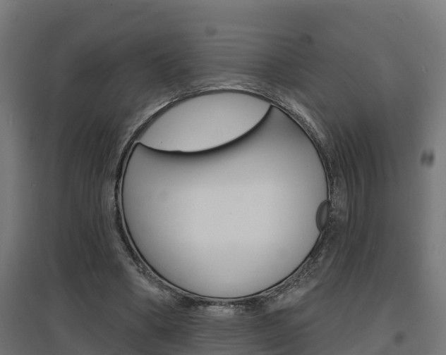 X0000097630394200802290849