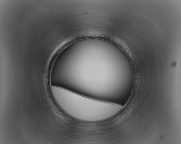 X0000097630395200802290849