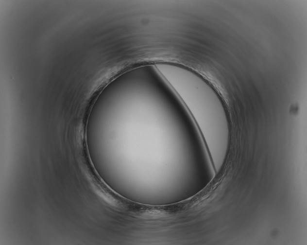 X0000097630397200802290849