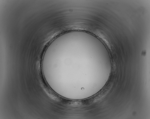 X0000097630398200802290849