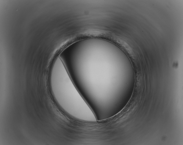 X0000097630399200802290849