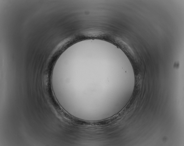 X0000097630400200802290849