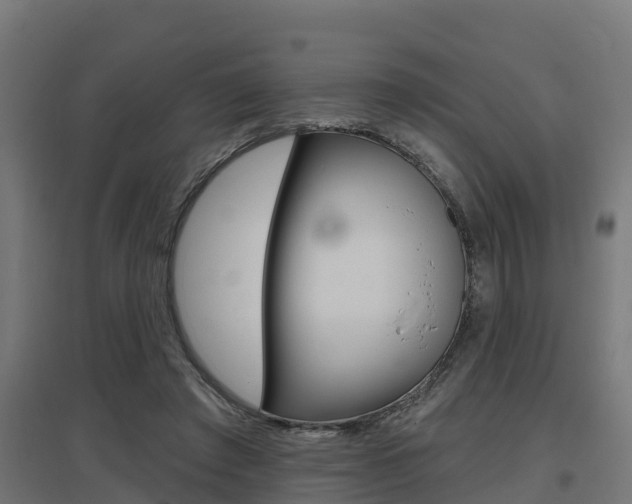 X0000097630401200802290849