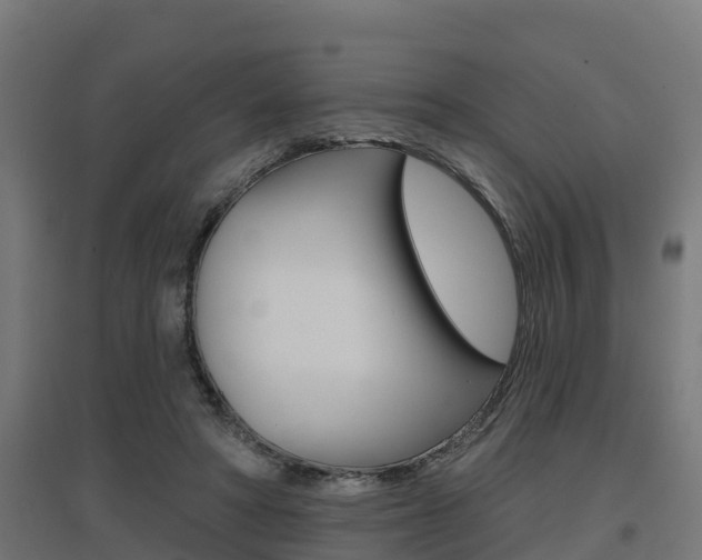 X0000097630402200802290849