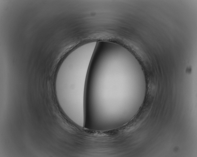 X0000097630403200802290849
