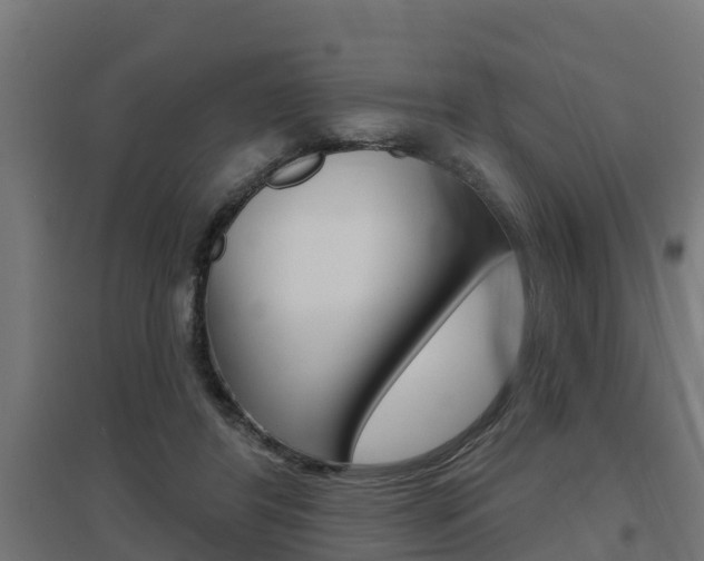 X0000097630404200802290849
