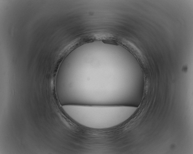 X0000097630405200802290849