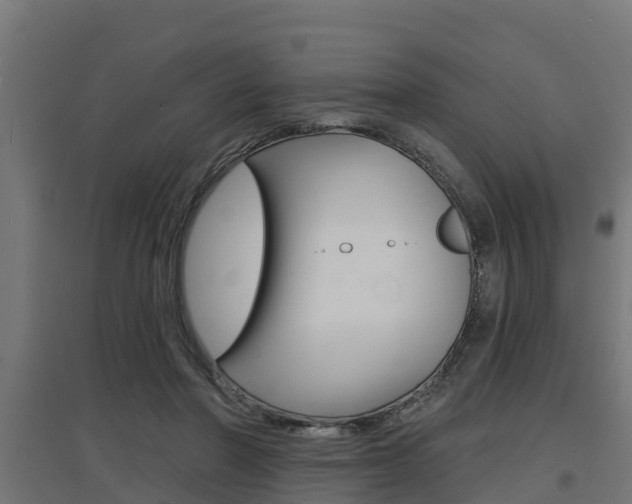 X0000097630406200802290849