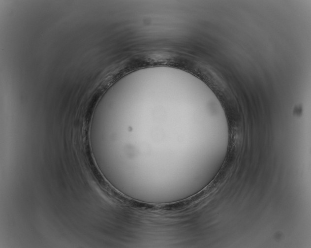 X0000097630408200802290849