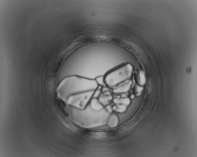 X0000097630409200802290849