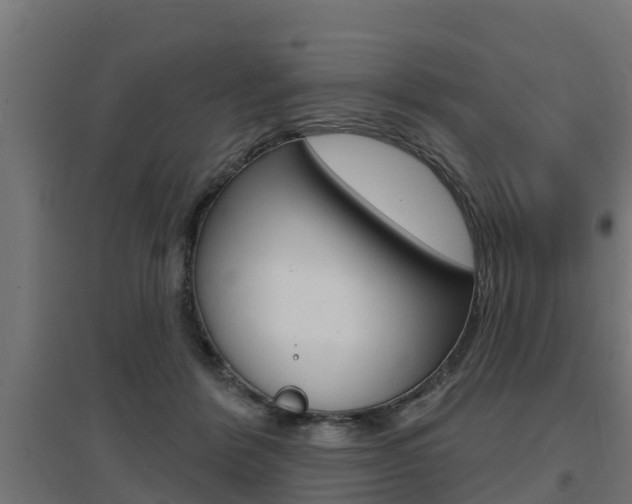 X0000097630412200802290849