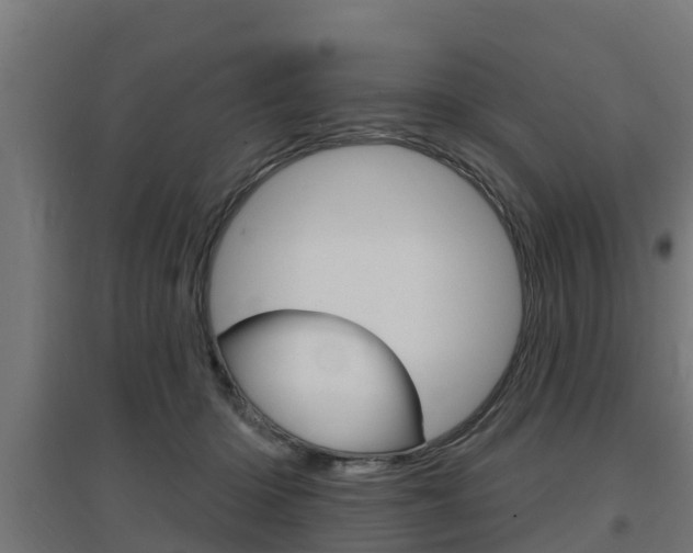 X0000097630414200802290849