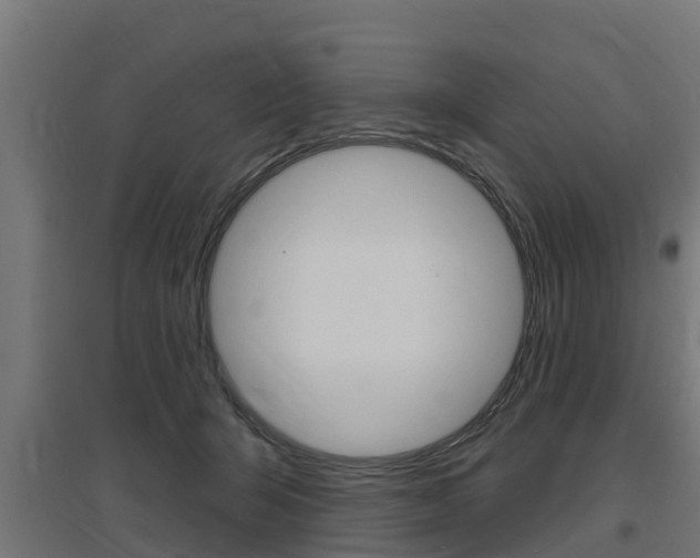 X0000097630415200802290849