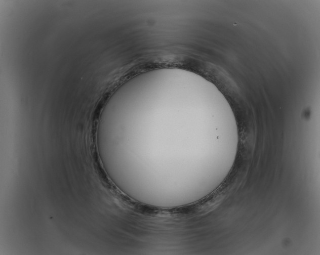X0000097630416200802290849