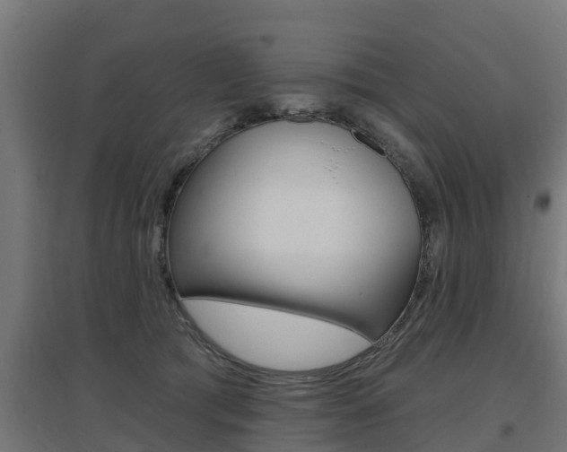 X0000097630417200802290849