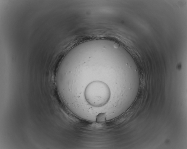 X0000097630418200802290849