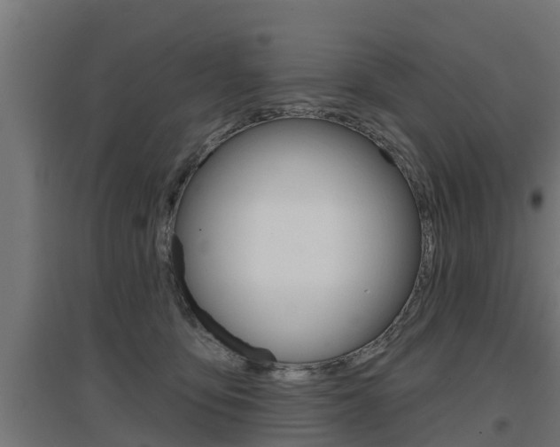X0000097630419200802290849
