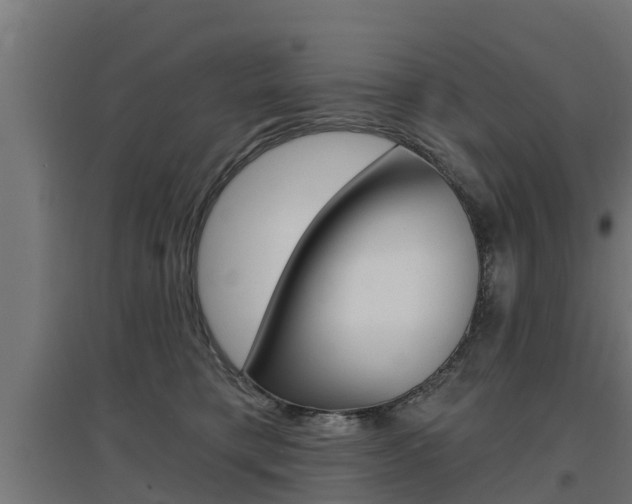 X0000097630421200802290849
