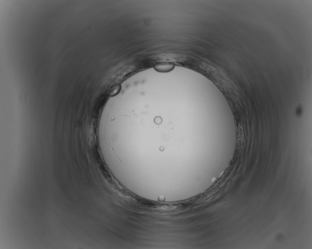 X0000097630422200802290849