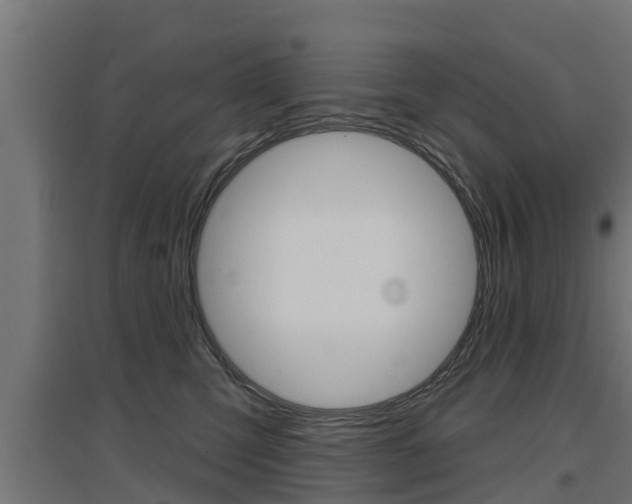 X0000097630423200802290849