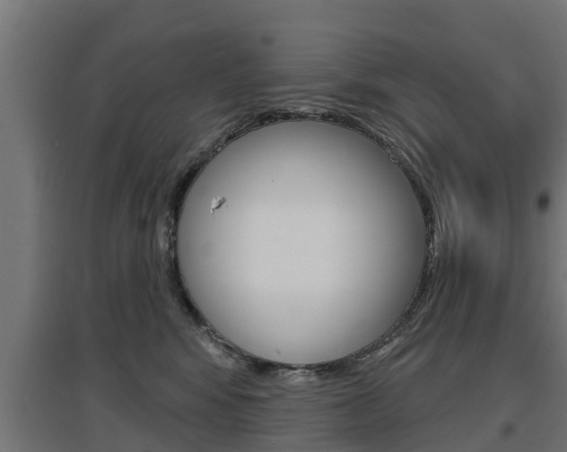 X0000097630424200802290849
