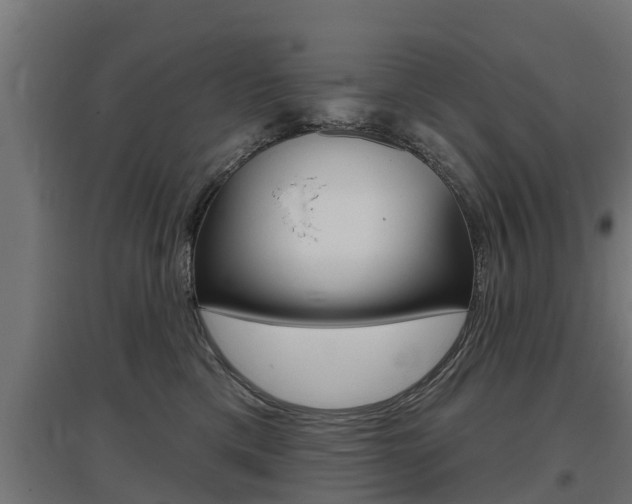 X0000097630425200802290849
