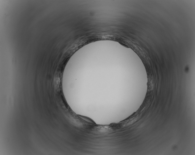 X0000097630427200802290849