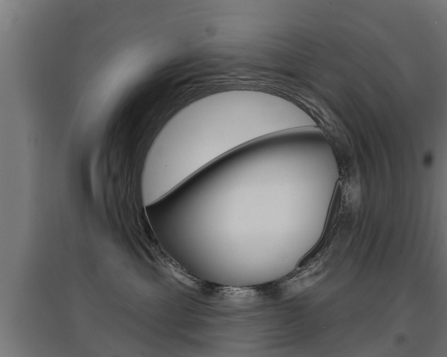 X0000097630429200802290849