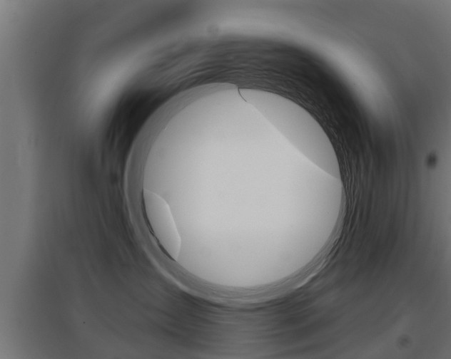 X0000097630431200802290849
