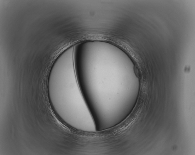 X0000097630433200802290848