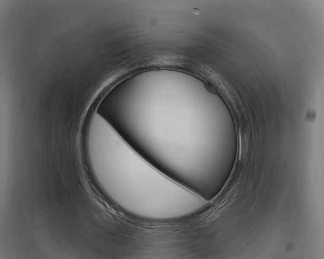 X0000097630435200802290848