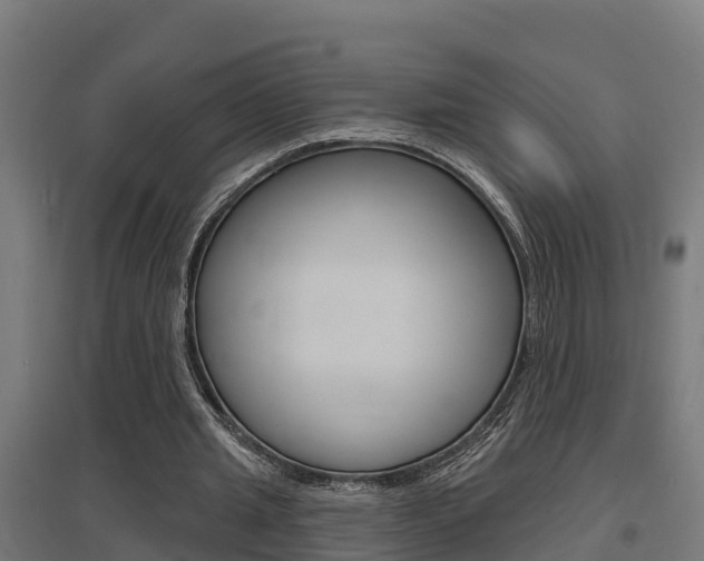 X0000097630437200802290848
