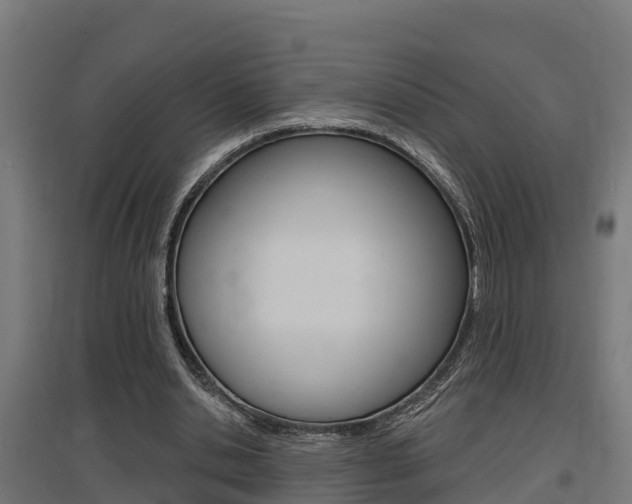 X0000097630438200802290848
