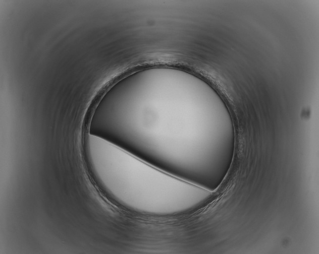 X0000097630439200802290848